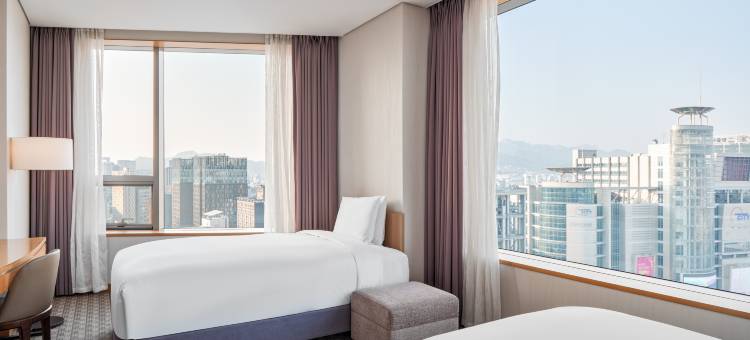 首尔东大门相铁喜普乐吉酒店(SOTETSU HOTELS THE SPLAISIR SEOUL DONGDAEMUN)图片