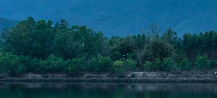 鹭月岛民宿图片