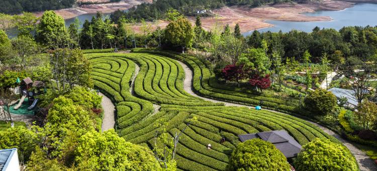 温州嘉美湖千禧度假酒店图片