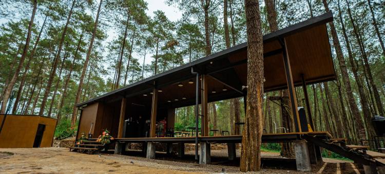 Bobocabin Cikole, Bandung图片