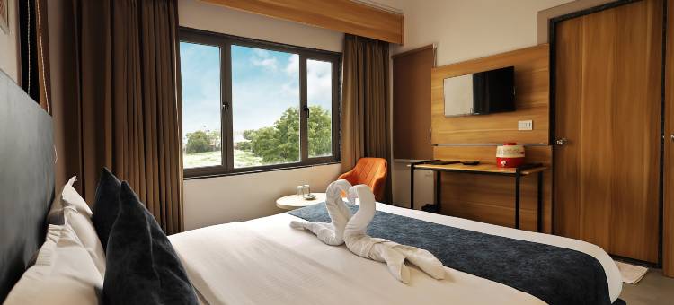 闪耀旅馆(Hotel Sparkle Inn Just 400 Meters from Udaipur Railway Station)图片
