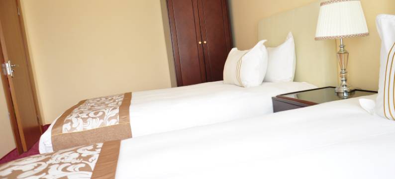 阿尔法酒店-蒙古(Alpha Hotel Ulaanbaatar)图片