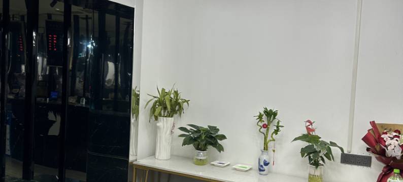 武汉东晟宾馆(百步亭花园现代城丹水池地铁站店)图片