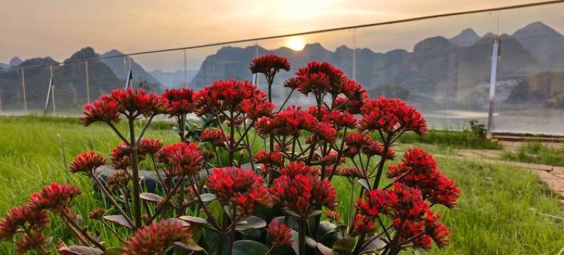 桃花湖全景民宿图片