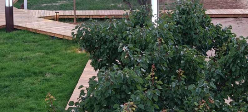 唐坊火山漫步太空舱宿营地图片
