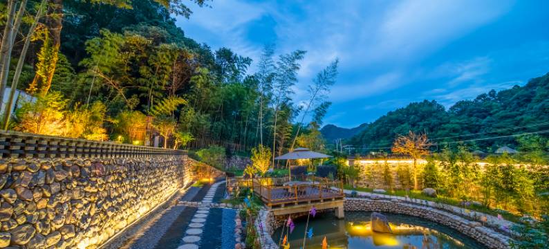 龙吟古树茶宿图片