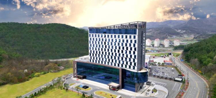 Benikea赛山酒店(Benikea Hotel Seosan)图片