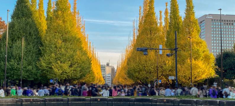 东京繁花青山酒店(Hotel Allamanda Aoyama Tokyo)图片