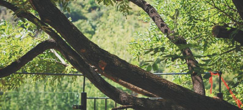 山的礼物·太行秘境乡野度假民宿图片