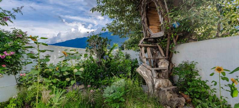 植无界民宿图片