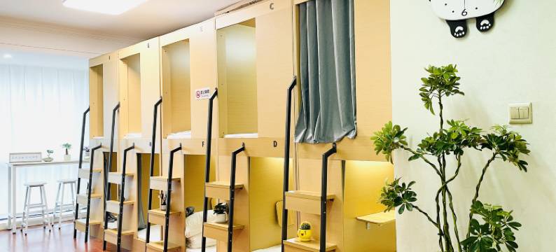 深圳木舍青年旅舍(大剧院地铁站万象城店)图片