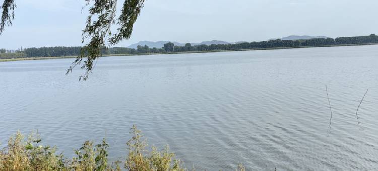 金盛元时尚概念宾馆图片