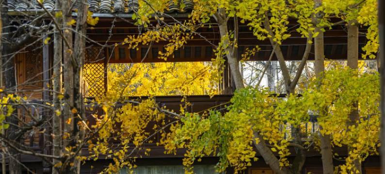 腾冲了凡精舍图片