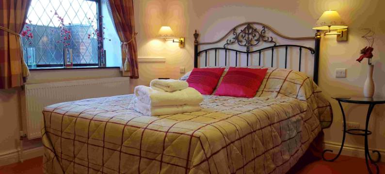 OYO 胡桃树(OYO The Walnut Tree)图片