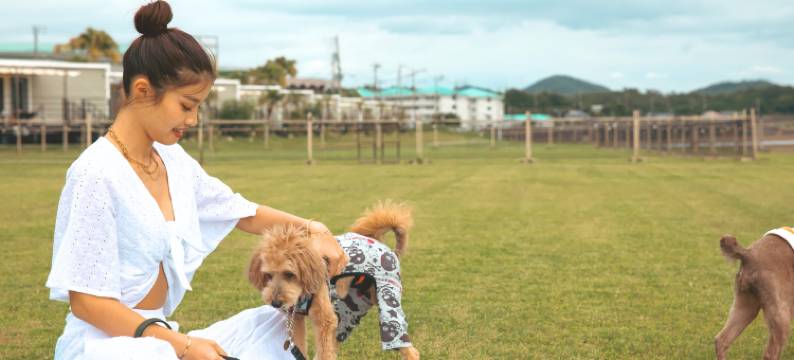 吹上滨菲尔德酒店(Fukiagehama Field Hotel)图片