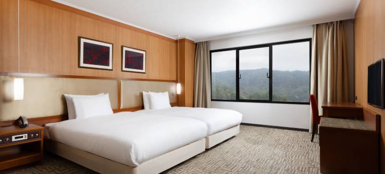 鸟取大山美居温泉度假酒店(Mercure Tottori Daisen Resort & Spa)图片