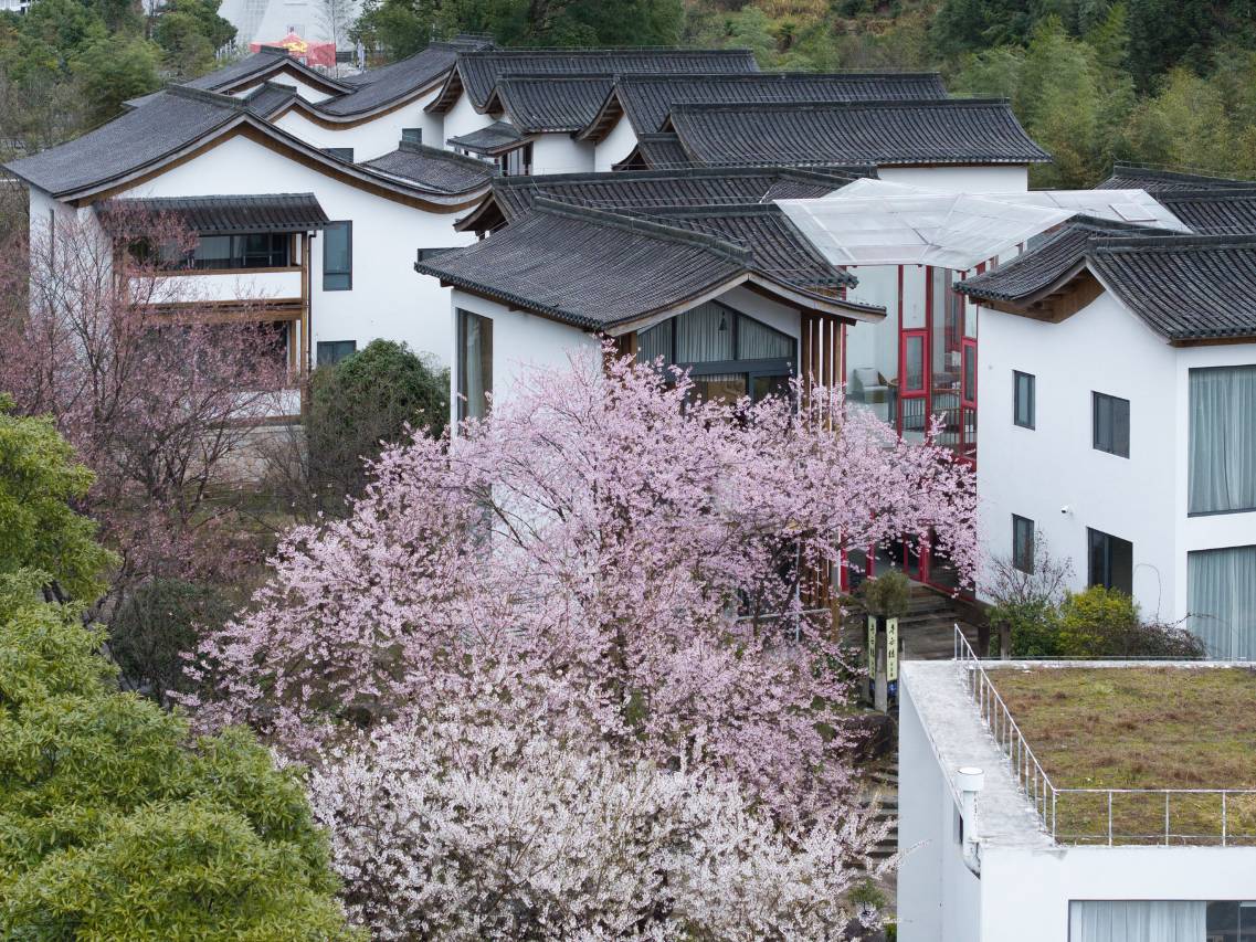 三清山望三清艺术聚落图片