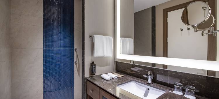 第比利斯爱乐美居酒店(Tbilisi Philharmonic by Mercure Hotel)图片