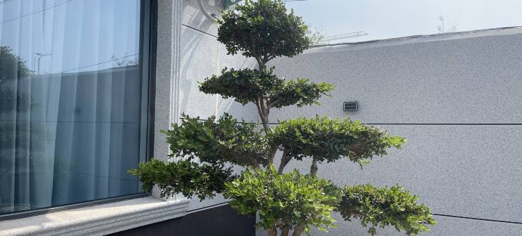 雨墨·民宿(开封万岁山大宋武侠城店)图片
