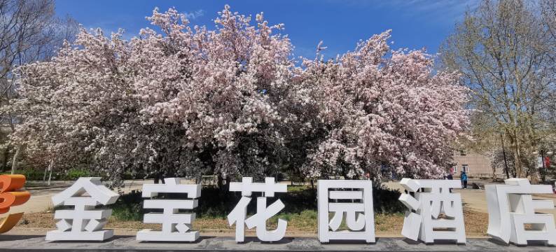 北京金宝花园酒店图片