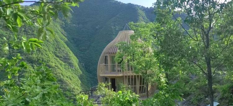 山阳天蓬山寨森林康养基地图片