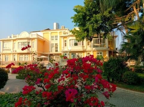 鼓浪屿湾景酒店(三丘田码头龙头路商业街店)