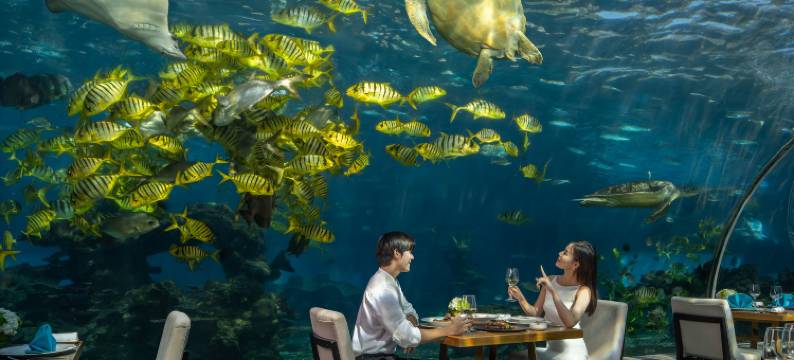 三亚海棠湾洲际度假酒店图片
