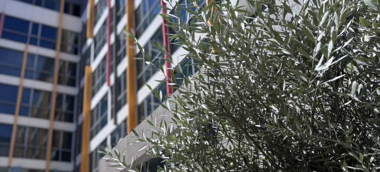 曼谷尊贵比左特尔酒店(Bizotel Premier Hotel & Residence)图片