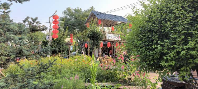 紫贝壳旅游民宿图片