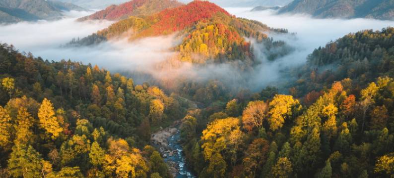 宏村莫名YAJU设计师民宿(宏村风景区店)图片