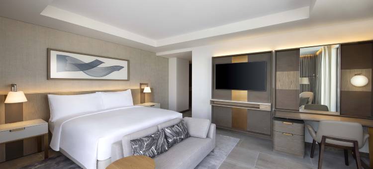 阿布扎比亚斯岛希尔顿酒店(Hilton AbuDhabi Yas Island)图片