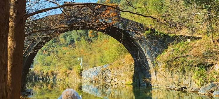 安吉山溪山舍民宿图片