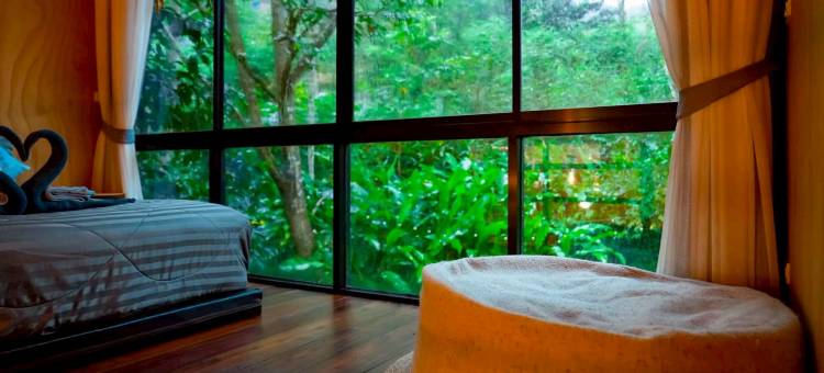 班奈蒙树屋(Bannaimong Treehouse)图片
