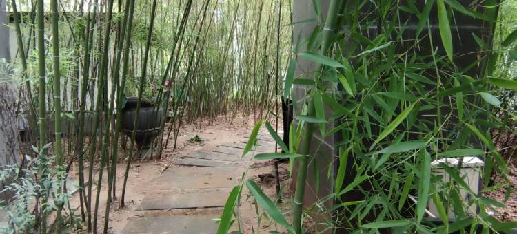 星程酒店(西安大雁塔大唐不夜城店)图片