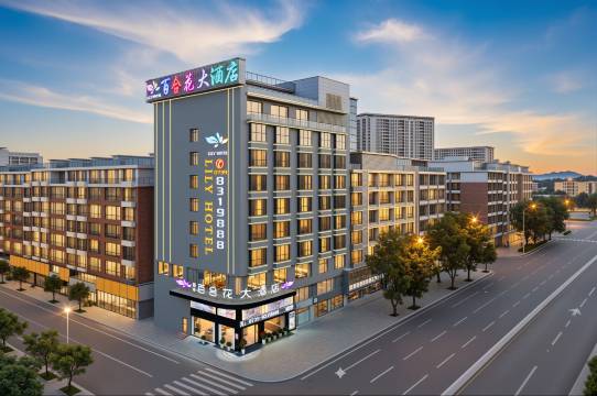 智能百合花大酒店(邵阳隆回汽车总站店)