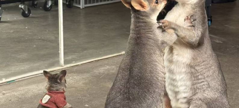 海友酒店(杭州西湖湖滨银泰步行街店)图片
