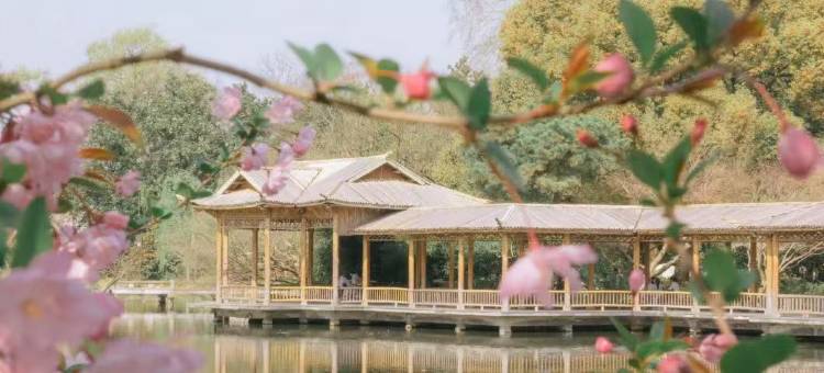 雲菲悦·轻居公寓(永盛路地铁站店)图片