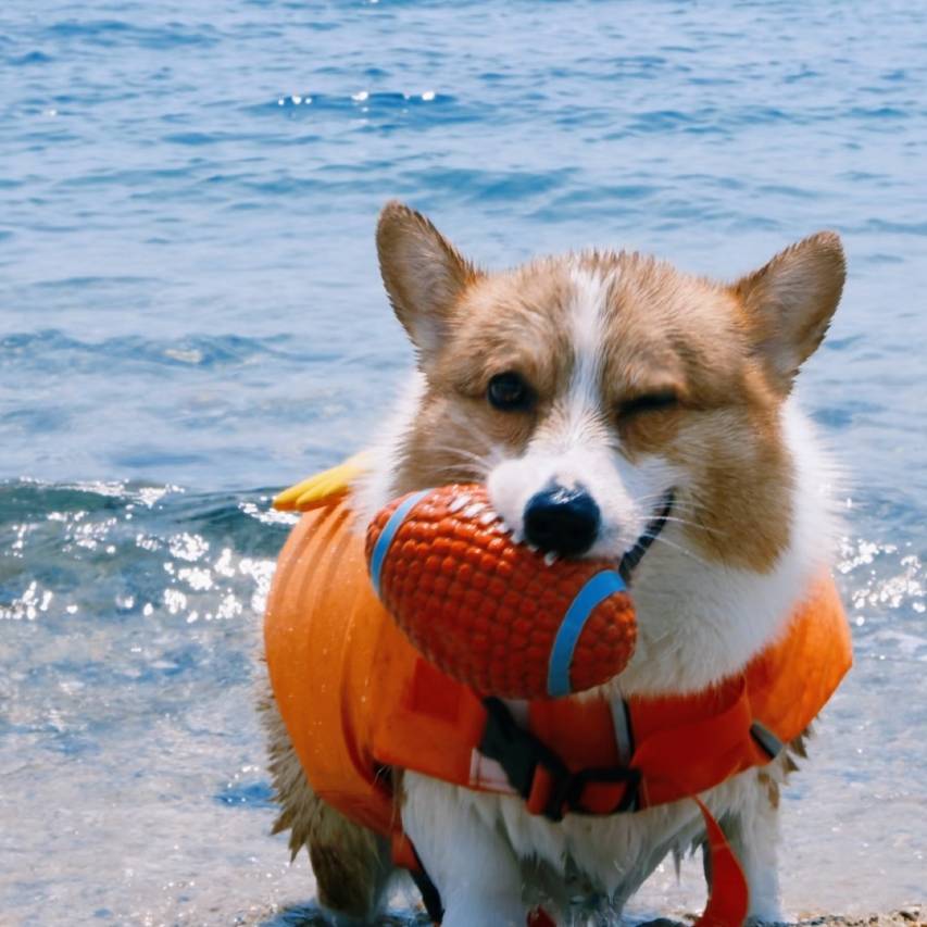 湄洲岛•听海泊心•360°私享露台无垠海景设计度假别墅(妈祖祖庙店)图片