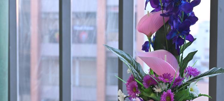 Hotel the Faam图片