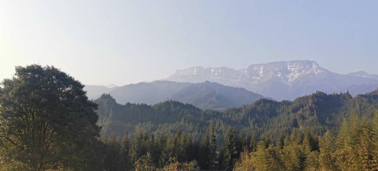 瓦屋山桂鹃园农家乐图片