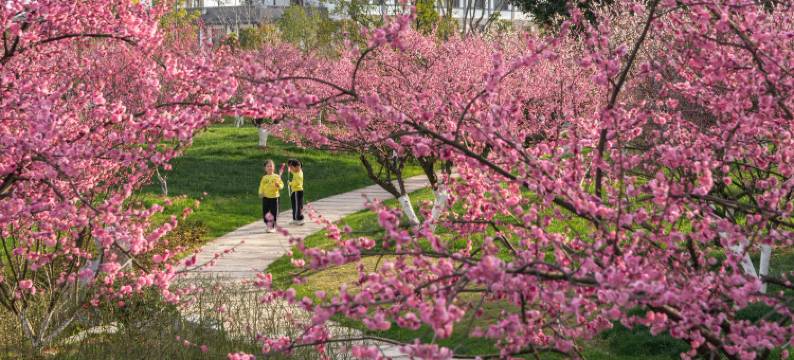 池州平天半岛大酒店图片