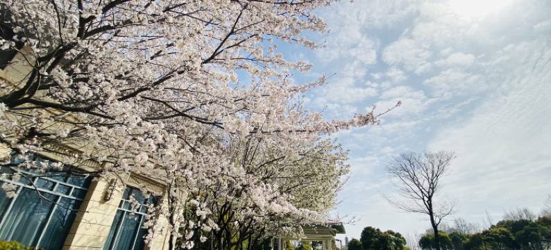 镇江迎宾馆图片