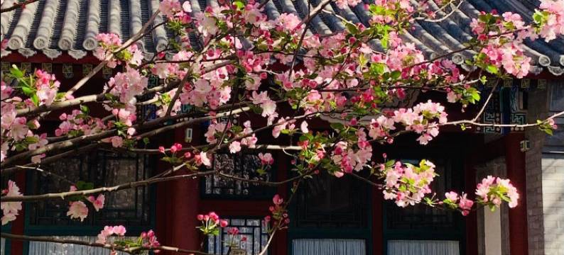 北京卧佛山庄图片