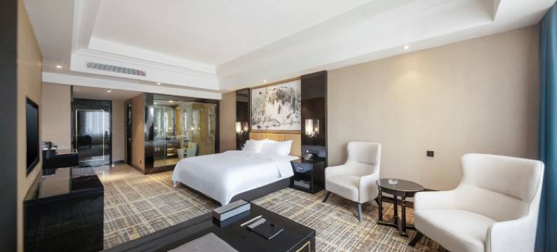 天府九鼎国际大酒店(简阳市中心城市候机楼店)图片