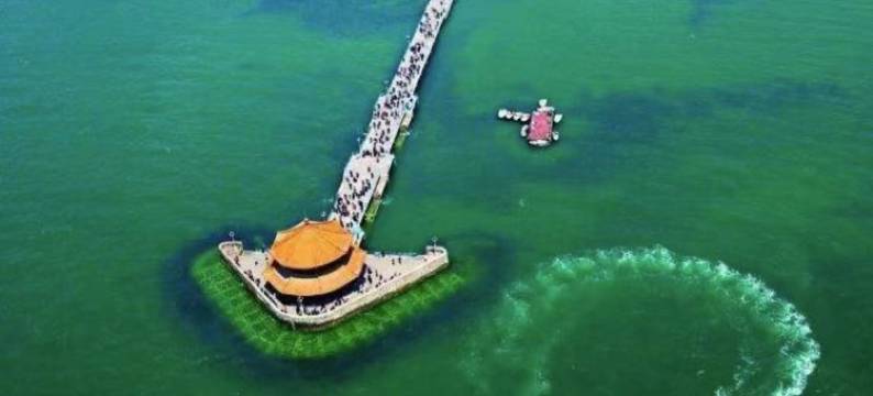 青岛海悦旅馆图片