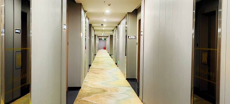 H精品酒店(东莞凤岗新高购物广场店)图片