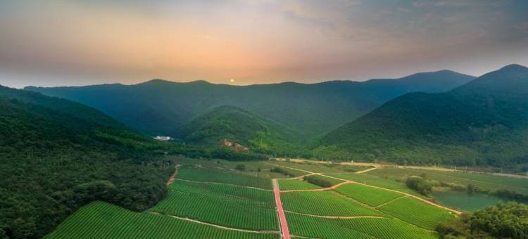 宜兴龙隐静园艺术家民宿(龙池山景区店)图片