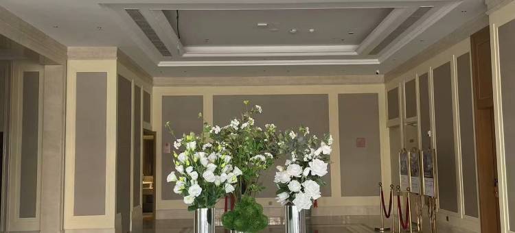 维也纳酒店(琼海大路店)图片