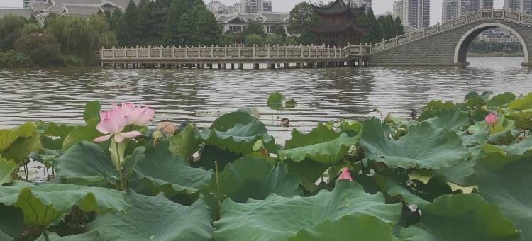 吉安●凯美龙│MUSEWONDERLUXEMODERNIST 酒店(文山步行街能仁巷店)图片