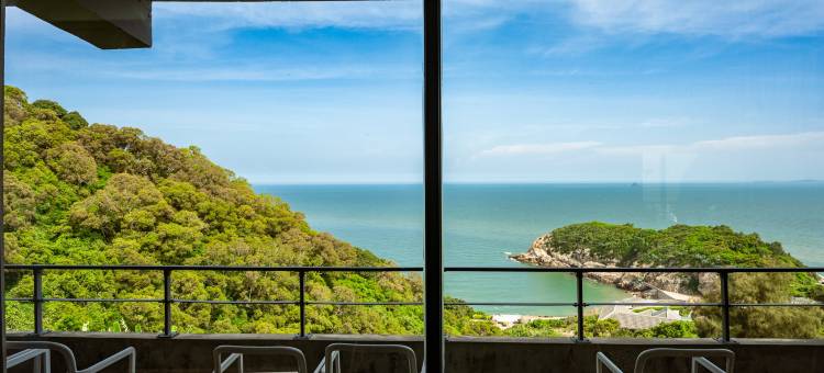 日光春和 Dayspring图片